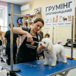 Груминг в Кропивницком: стрижка собак и кошек, уход и профессиональные салоны