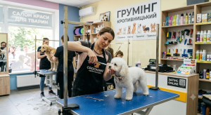 Груминг в Кропивницком: стрижка собак и кошек, уход и профессиональные салоны